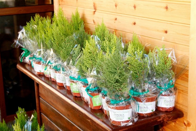 Azadea Foundation Plants 6,000 Trees  at its 3rd Plantation Day